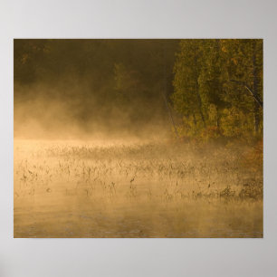 USA, New York, Adirondack Park. Sunrise mist on Poster