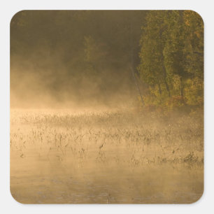 USA, New York, Adirondack Park. Sunrise mist on Square Sticker