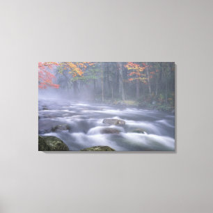 USA, New York, Adirondacks, Big Moose River Canvas Print