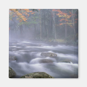 USA, New York, Adirondacks, Big Moose River Magnet