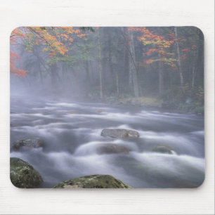 USA, New York, Adirondacks, Big Moose River Mouse Mat