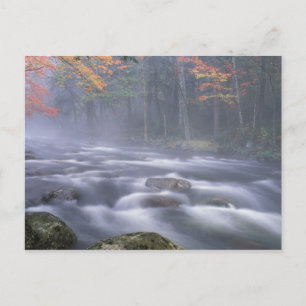 USA, New York, Adirondacks, Big Moose River Postcard