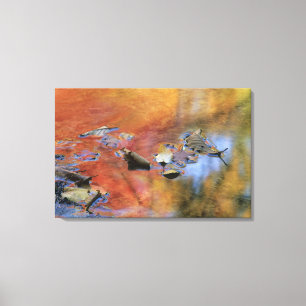 USA, New York, Adirondacks, Fallen Leaves in Canvas Print