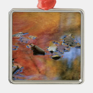 USA, New York, Adirondacks, Fallen Leaves in Metal Tree Decoration