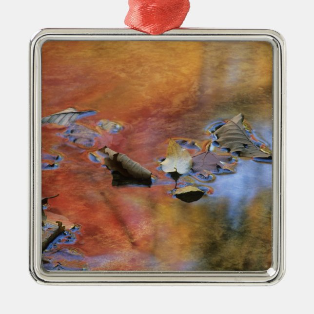 USA, New York, Adirondacks, Fallen Leaves in Metal Tree Decoration (Front)