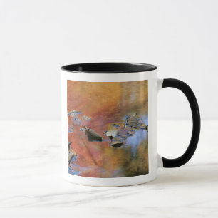 USA, New York, Adirondacks, Fallen Leaves in Mug