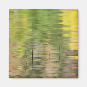 USA, New York, Adirondacks, Reflections in water Magnet