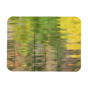 USA, New York, Adirondacks, Reflections in water Magnet