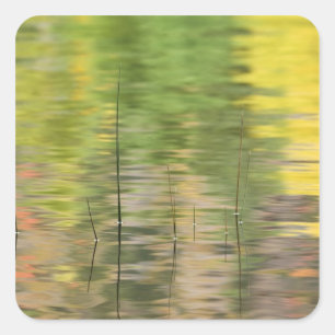 USA, New York, Adirondacks, Reflections in water Square Sticker