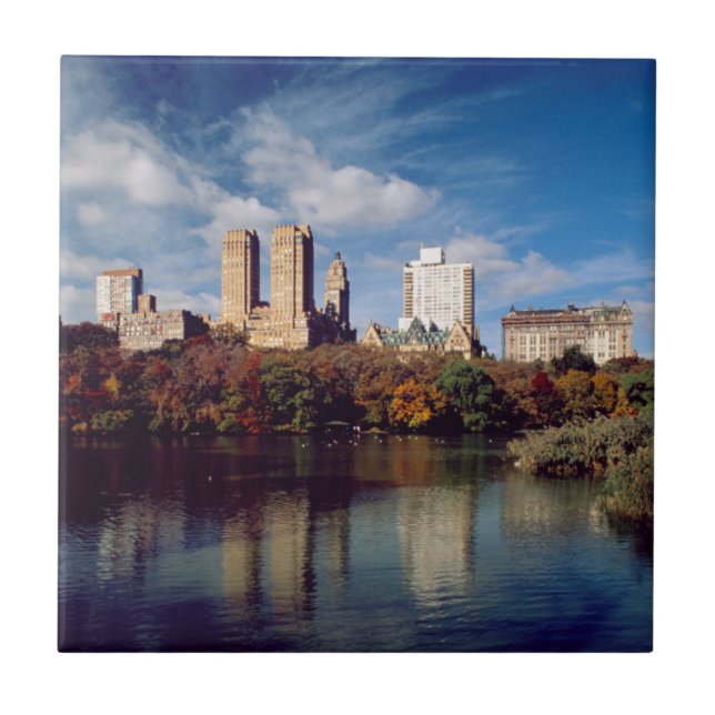 USA, New York City, Central Park, Lake Tile (Front)