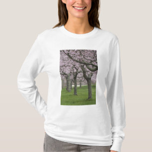 USA, New York, East Hampton. Cherry trees in T-Shirt