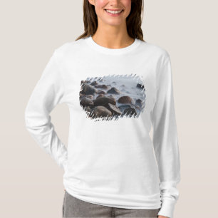 USA, New York, East Hampton. Ocean surf at T-Shirt