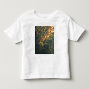 USA, New York, Letchworth State Park. Sunrise Toddler T-Shirt