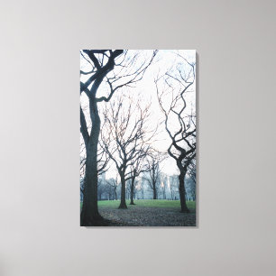 USA, New York, New York City: Central Park Canvas Print
