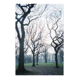USA, New York, New York City: Central Park Photo Print