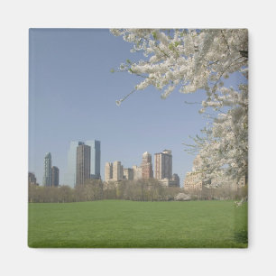 USA, New York, New York City, Manhattan: 19 Magnet