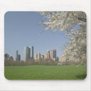 USA, New York, New York City, Manhattan: 19 Mouse Mat