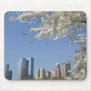 USA, New York, New York City, Manhattan: 4 Mouse Mat