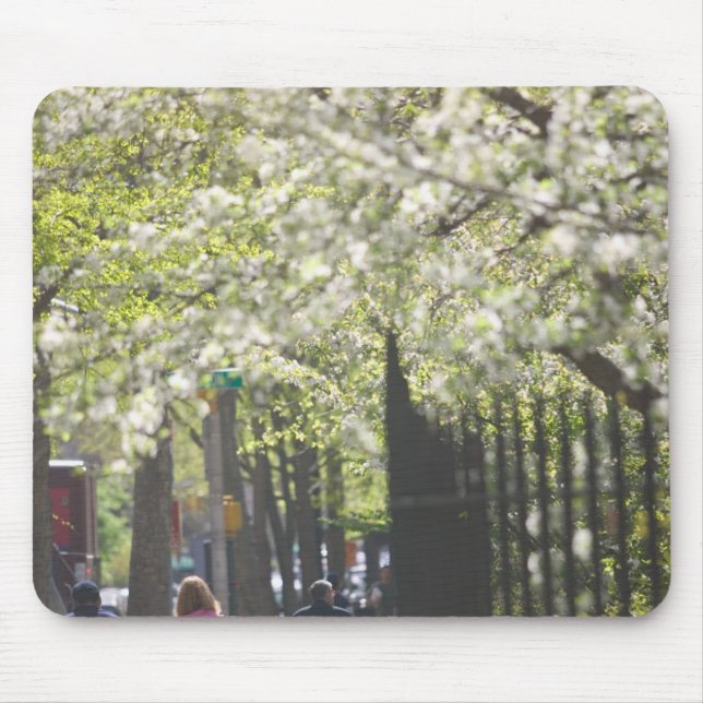 USA, New York, New York City, Manhattan: 8 Mouse Mat (Front)