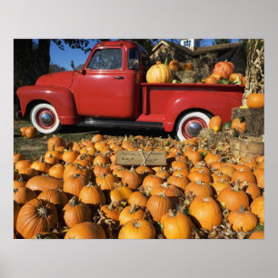 USA, New York, Peconic, pumpkin farm with pickup Poster
