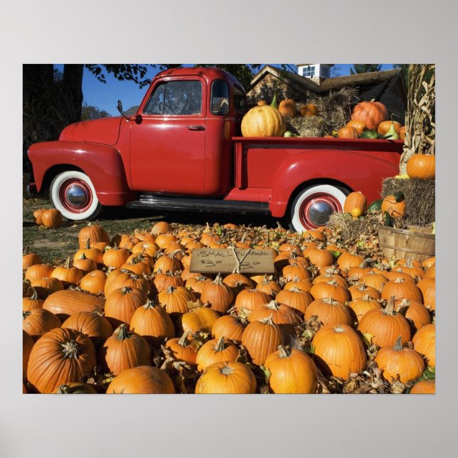 USA, New York, Peconic, pumpkin farm with pickup Poster (Front)