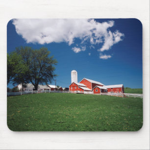 USA, New York, Sharon Springs, Farm Mouse Mat