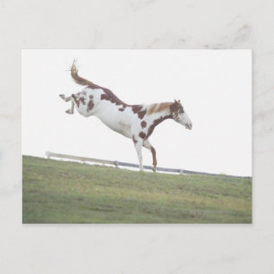 USA, New York State, Hudson, Horse jumping in Postcard
