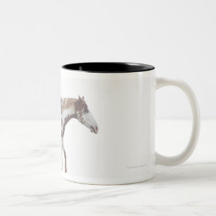 USA, New York State, Hudson, Horse jumping in Two-Tone Coffee Mug