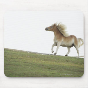 USA, New York State, Hudson, Horse running in 2 Mouse Mat