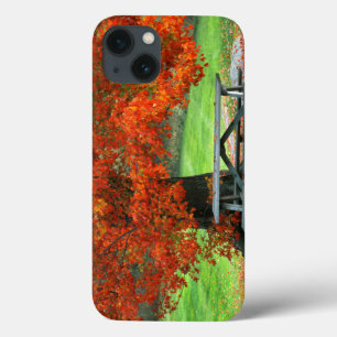 USA, New York, West Park. Bench Under Maple iPhone 13 Case