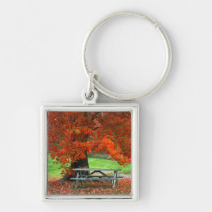 USA, New York, West Park. Bench Under Maple Key Ring