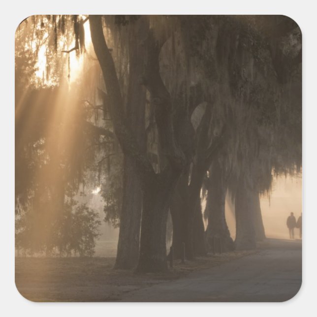 USA; North America; Georgia; Savannah. Boys Square Sticker (Front)