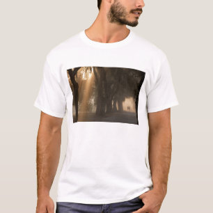 USA; North America; Georgia; Savannah. Boys T-Shirt