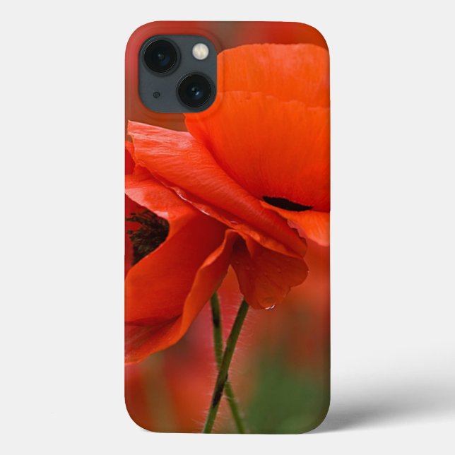 USA, North Carolina. Close-up of poppy Case-Mate iPhone Case (Back)