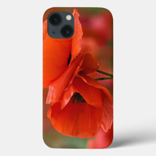 USA, North Carolina. Close-up of poppy iPhone 13 Case