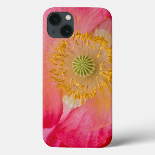 USA, North Carolina. Close-up of poppy interior iPhone 13 Case