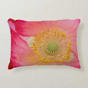 USA, North Carolina. Close-up of poppy interior Decorative Cushion