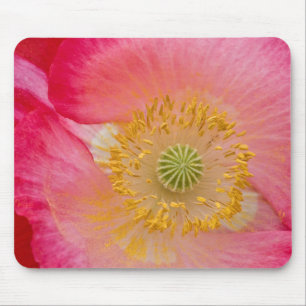 USA, North Carolina. Close-up of poppy interior Mouse Mat