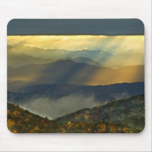 USA, North Carolina, Great Smoky Mountains. Mouse Mat