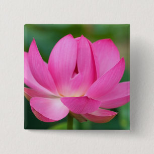 USA; North Carolina; Lotus blossom 15 Cm Square Badge