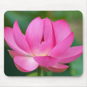 USA; North Carolina; Lotus blossom Mouse Mat