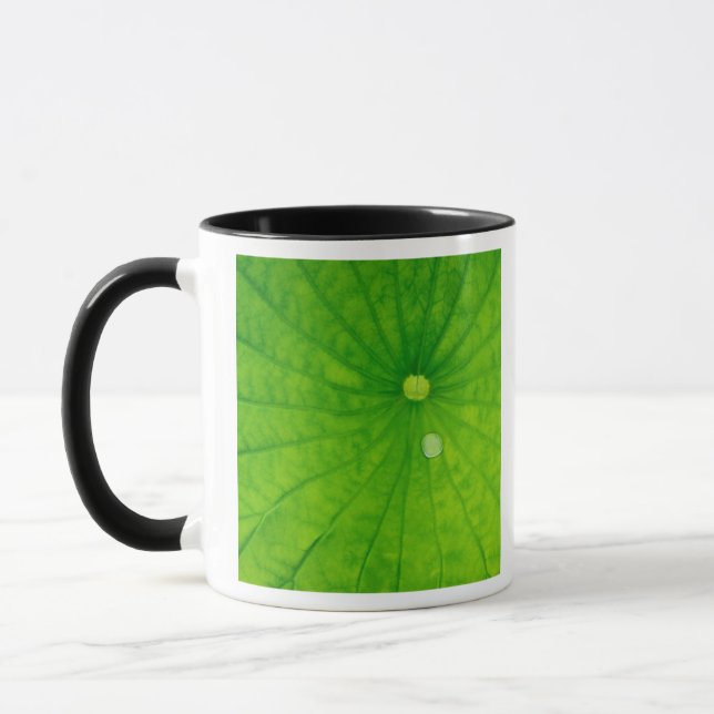 USA; North Carolina; Lotus leaf with dew drop Mug (Left)