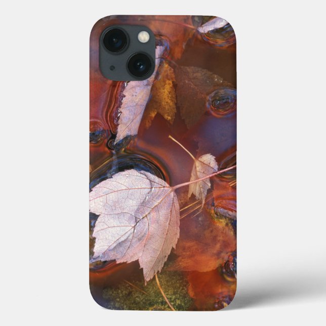 USA, Northeast, Fall leaves in puddle with Case-Mate iPhone Case (Back)