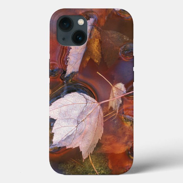 USA, Northeast, Fall leaves in puddle with Case-Mate iPhone Case (Back)