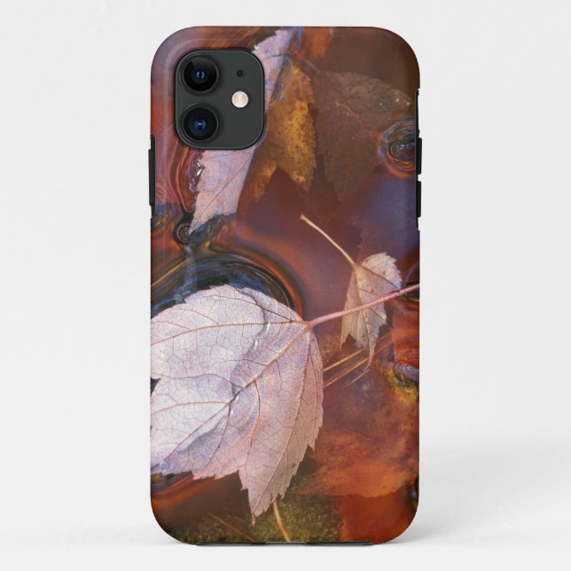 USA, Northeast, Fall leaves in puddle with Case-Mate iPhone Case (Back)