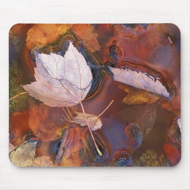 USA, Northeast, Fall leaves in puddle with Mouse Mat (Front)
