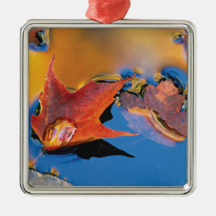 USA, Northeast, Maple Leaf in Reflection Metal Tree Decoration