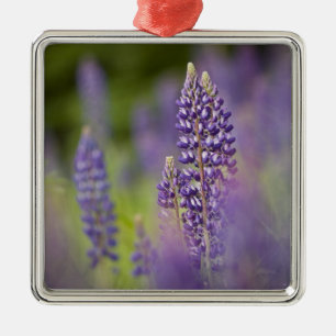 USA, Northeastern Minnesota, near Silver Bay, Metal Tree Decoration