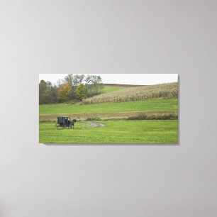 USA, Northeastern Ohio. Amish buggy on farm Canvas Print