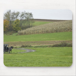 USA, Northeastern Ohio. Amish buggy on farm Mouse Mat